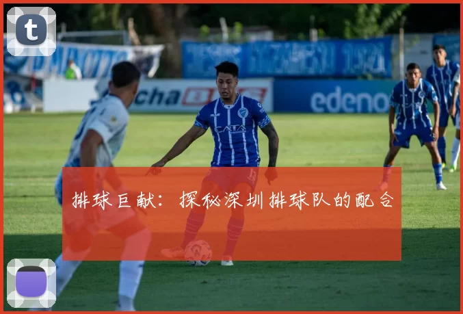 排球巨献：探秘深圳排球队的配合