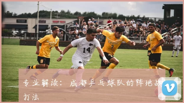 专业解读：成都乒乓球队的阵地战打法