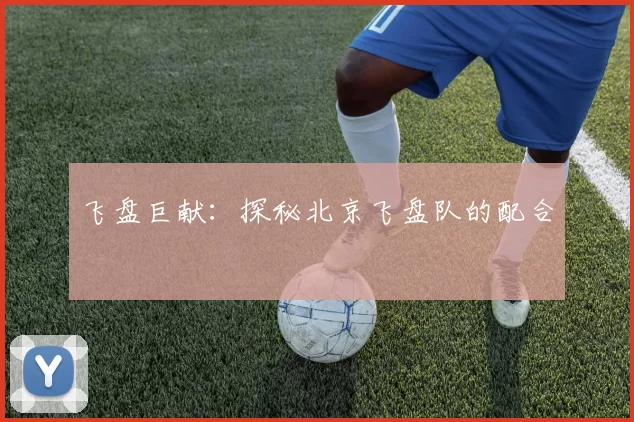 飞盘巨献：探秘北京飞盘队的配合